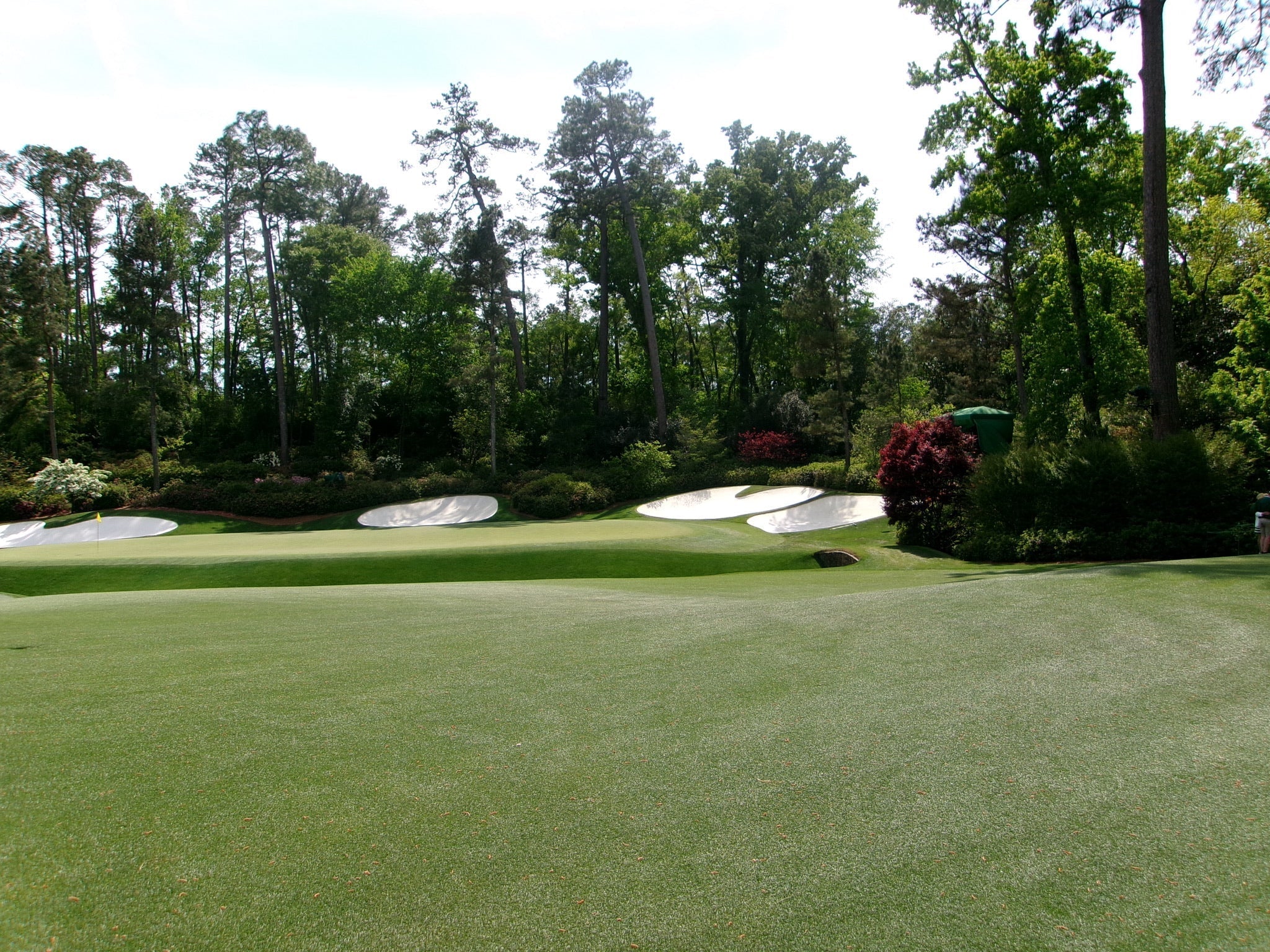 I guess I will just buy a golf course
